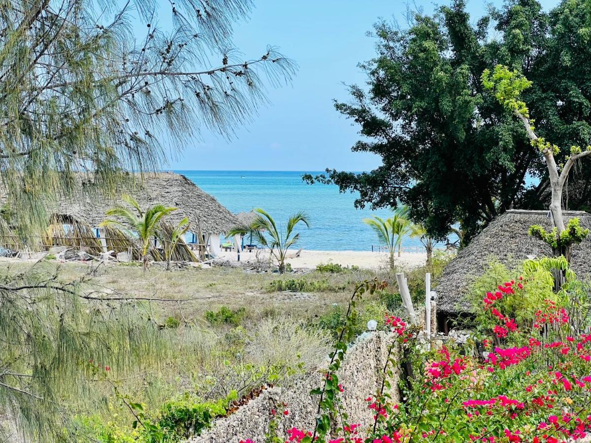 Beba.Beach.House 瓦塔穆 外观 照片