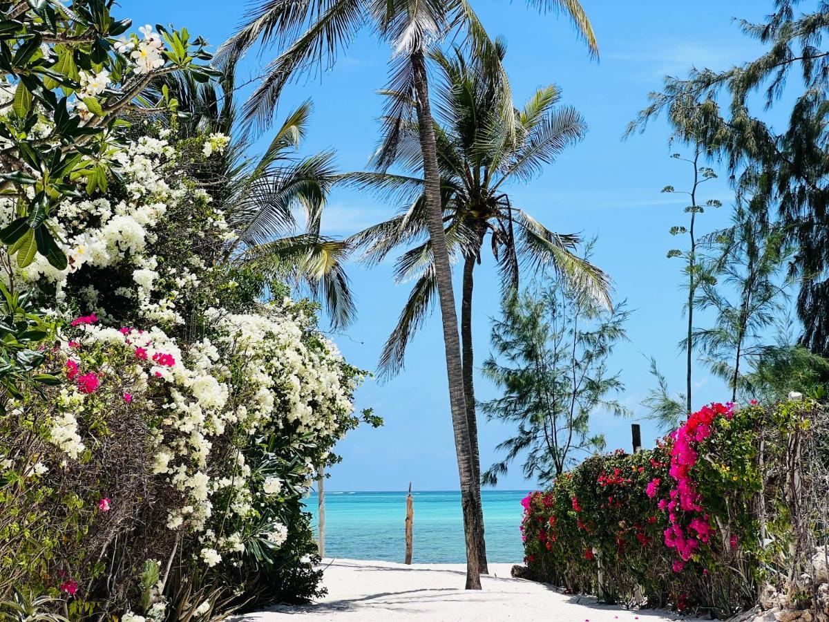 Beba.Beach.House 瓦塔穆 外观 照片
